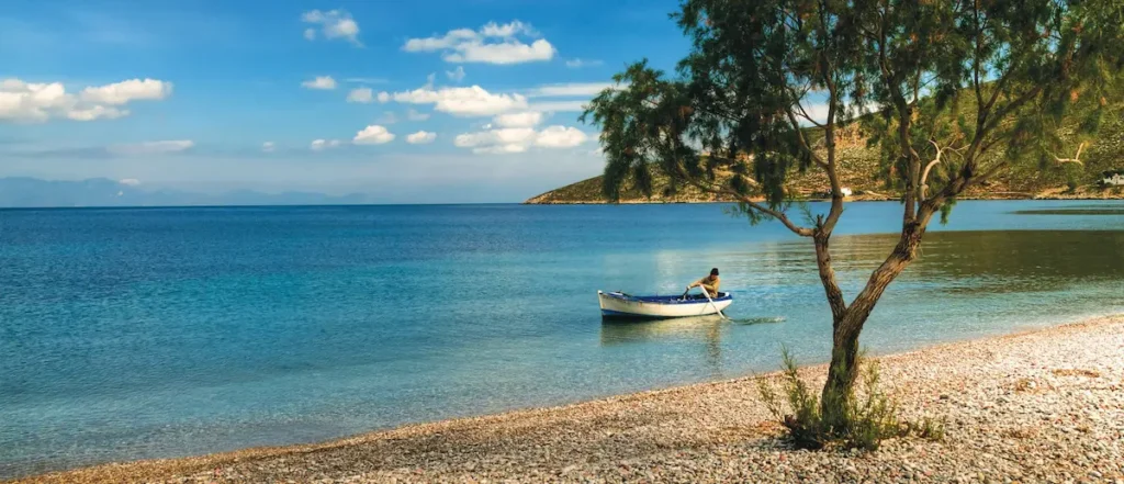 A tree and a quiet pebble beach on Tilos
